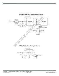 RF2040E Datasheet Page 2