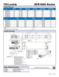 RFE160032/S Datasheet Page 2