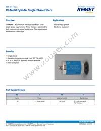 RG-208F Datasheet Cover