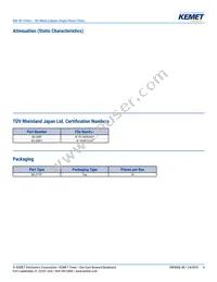 RG-208F Datasheet Page 4