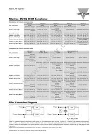 RGC1P48AA30E Datasheet Page 11