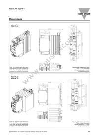 RGC1P48AA30E Datasheet Page 17