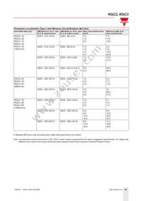 RGC3A22A20KKE Datasheet Page 21