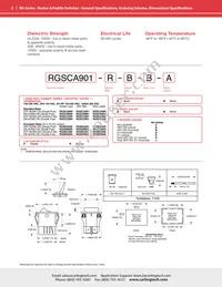 RGSCC211-R-B-B-E Datasheet Page 2
