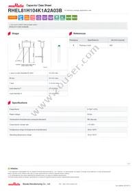 RHEL81H104K1A2A03B Datasheet Cover