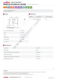 RHEL81H104K1K1A03B Datasheet Cover