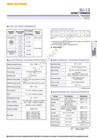 RJ-13SR502 Datasheet Page 2