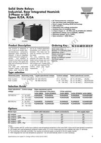 RJ2A22A25E Datasheet Cover