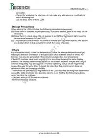 RK043FN02H-CT Datasheet Page 21