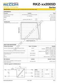 RKZ-242005D/HP Datasheet Page 3