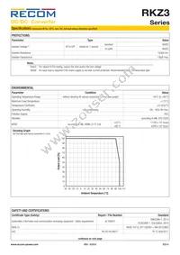 RKZ3-2412S/H Datasheet Page 4