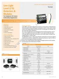 RL2048PAG-021 Datasheet Page 18