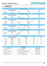 RM12/I-3C95-E250 Datasheet Page 2