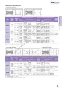 RM3216B-104/304-NWWP10 Datasheet Page 2