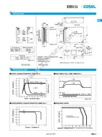 RMB50A-2-N Datasheet Page 2