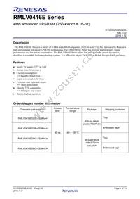 RMLV0416EGSB-4S2#HA0 Datasheet Cover