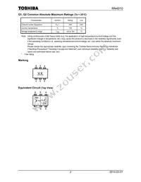 RN4910(T5L Datasheet Page 2