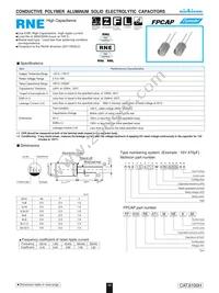 RNE1C102MDN1 Datasheet Cover