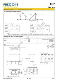 RP-243.3S/P/X2 Datasheet Page 6
