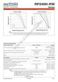 RP240H-11005SRW/P-HC Datasheet Page 10