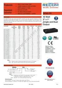 RP40-11024DFR/N-HC Datasheet Cover
