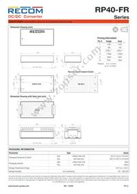 RP40-11024DFR/N-HC Datasheet Page 12