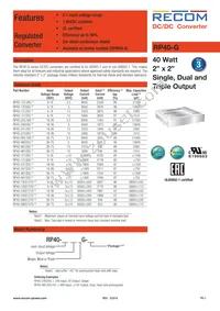 RP40-480515TG/HC Datasheet Cover