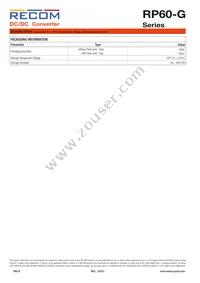 RP60-483.3SG/N-HC Datasheet Page 8