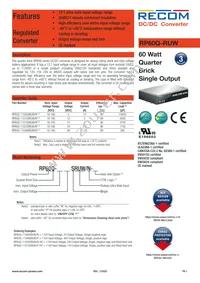 RP60Q-11024SRUW/P Datasheet Cover