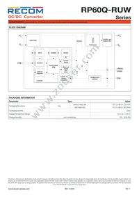 RP60Q-11024SRUW/P Datasheet Page 11