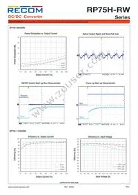 RP75H-11015SRW/P-HC Datasheet Page 4