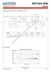 RP75H-11015SRW/P-HC Datasheet Page 12