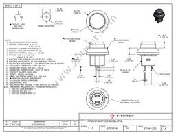 RP8101B2M1CEBLKBLKNIL Datasheet Cover