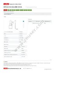 RPE5C1H100J2M1Z03A Datasheet Cover