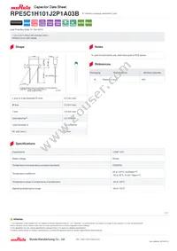 RPE5C1H101J2P1A03B Datasheet Cover