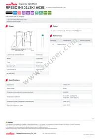 RPE5C1H102J2K1A03B Datasheet Cover