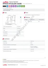 RPE5C1H122J2K1A03B Datasheet Cover