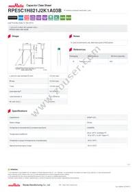 RPE5C1H821J2K1A03B Datasheet Cover