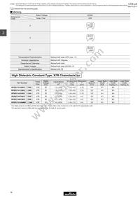 RPER72A104K3M1C07A Datasheet Page 18