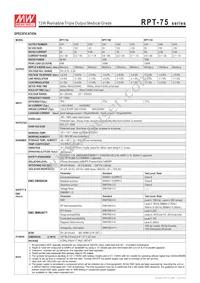 RPT-7503 Datasheet Page 2