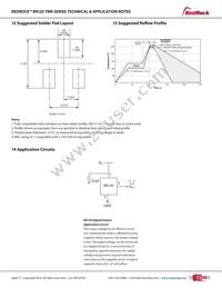 RR120-A111-00 Datasheet Page 4