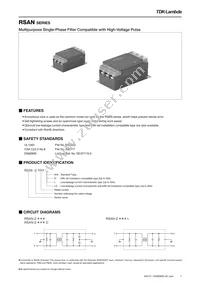 RSAN-2060 Datasheet Cover