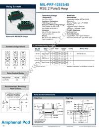 RSE120169 Datasheet Page 2