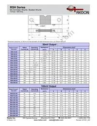 RSH-600-100 Datasheet Page 2