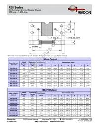 RSI-1200-100 Datasheet Page 2