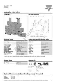 RSLM001060 Datasheet Page 5