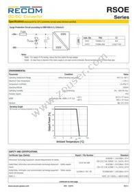RSOE-2405S/H2 Datasheet Page 3