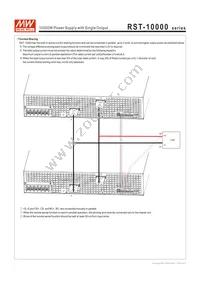 RST-10000-24 Datasheet Page 8