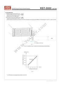 RST-5000-36 Datasheet Page 6