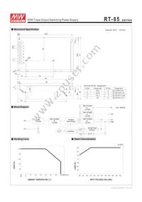 RT-85A Datasheet Page 2